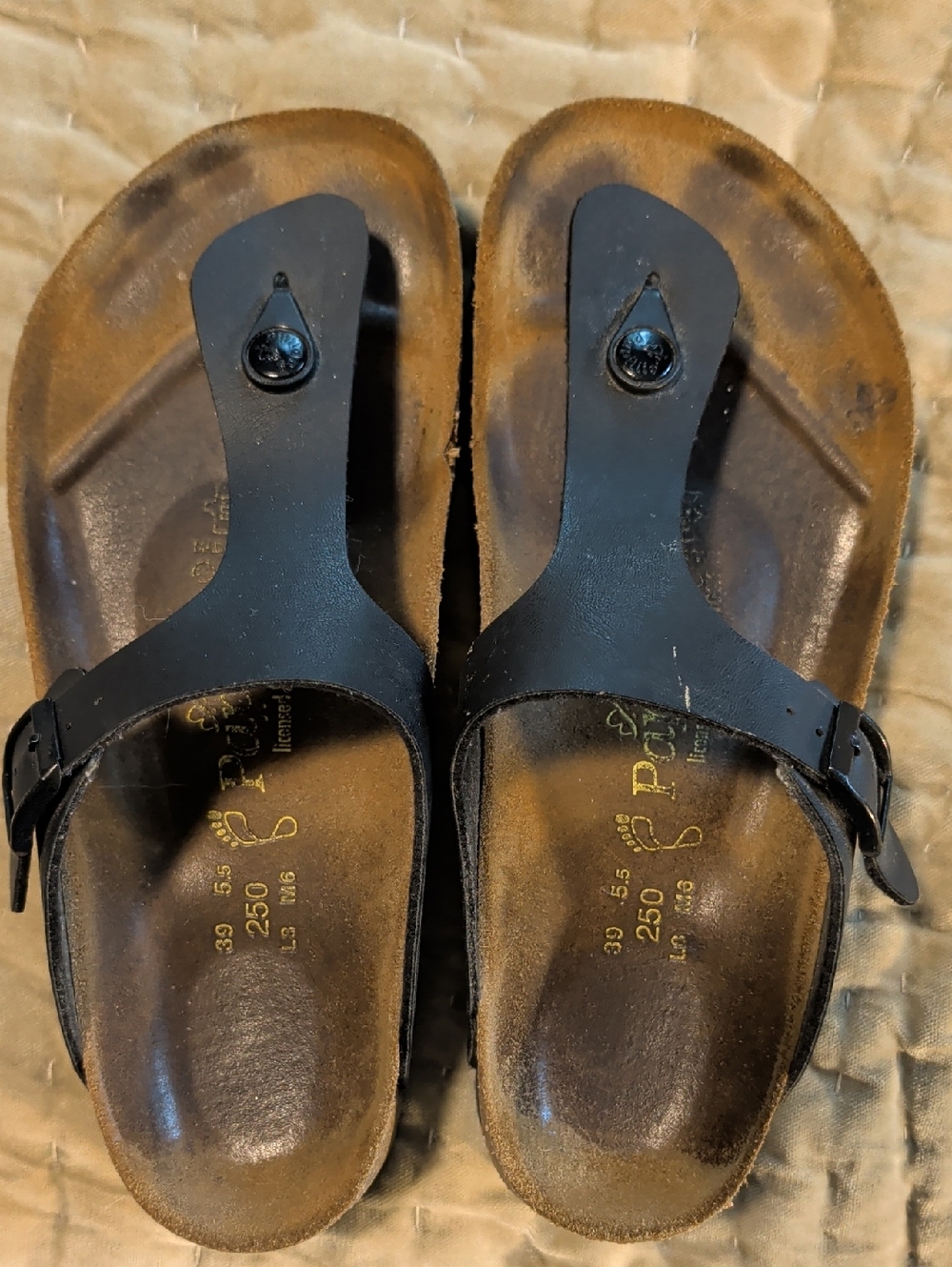 🔥🔥🔥 Papillio Bikenstock Platform Thong Sandal